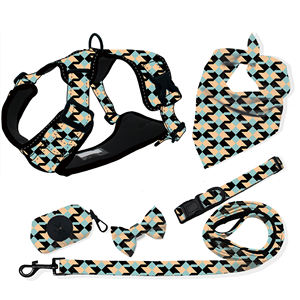 Pita Poliester Motif Hewan Rantai Emas Tali Tarik Otomatis Kalung Anjing Mewah Serbaguna <span class=keywords><strong>Harness</strong></span> Reflektif Ramah Lingkungan - Product Image 2