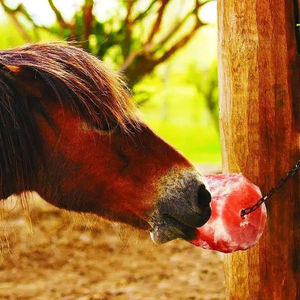 Sel de léchage de l'Himalaya de haute qualité 2025 en forme de cylindre avec corde, alimentation saine pour chevaux et chiens, sel de léchage pour bétail - Product Image 1