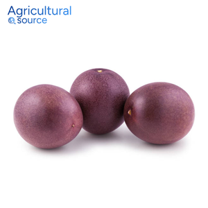Fruit de la passion premium-saveur audacieuse riche en fibres riches en vitamine C-fruits de la passion prend en charge la santé intestinale-de l'usine VietNam - Product Image 1