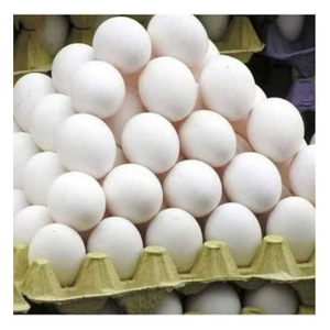 Fournisseur en gros d'œufs de poule frais blancs, production fiable d'une ferme avicole - Product Image 5