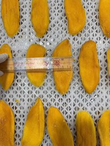 Tranches de mangue séchées en usine, mangue séchée moelleuse, mangue séchée, collation de mangue, tranches de mangue, mangue séchée sucrée, mangue séchée naturelle, mangue séchée tropicale - Product Image 1