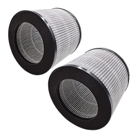 Filtre HEPA à charbon actif personnalisé Lansir pour purificateur d'air Bissells 2780 2780A 27809