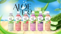 Sap Aloë Vera Drink 12X500Ml Fruitsmaak Aloë Jugo Perzik Met Echte Pulp Interverse Frisdrank Vruchtensap