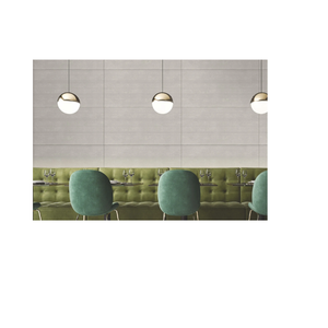 Baldosas de Porcelana Vitrificada Gris para Piso, 10 mm de Grosor, Antideslizantes, Acabado Mate, Textura Sólida, Baja Absorción de Agua - Product Image 2