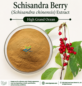 โรงงาน HGO จัดจำหน่ายโดยตรง สารสกัดจากผลชิสแอนดรา (Schisandra chinensis) (เกรดอาหาร) อัตราส่วน 4:1 5:1 10:1 20:1 100:1 200:1 - Product Image 1