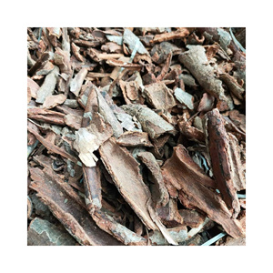 Polvo de Joss de Alta Calidad, Corteza Natural de Litsea Glutinosa para la Fabricación de Incienso, Materia Prima al por Mayor, Fábrica de Vietnam - Product Image 1