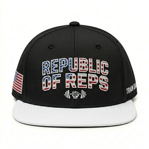 Casquette Snapback Personnalisée Style Urbain Sportif 6 Panneaux Visière Plate Toile Coton Broderie 3D Personnage Unisexe Chapeau d'Extérieur OEM ODM - Product Image 1