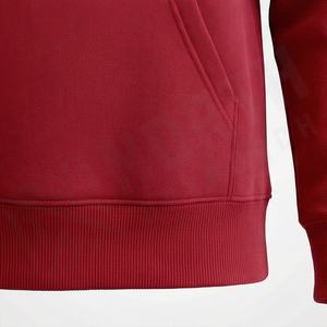 OEM High Quality Custom Logo 100% Cotton <b>Thick</b> Fleece Pullover Winter Heavyweight <b>Hoodie</b> For <b>Men</b> Streetwear Customized Color - Product Image 5