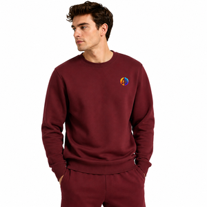 Sudadera suave para hombre con tela cálida y cómoda, ribetes acanalados, cuello limpio, corte regular y estilo sencillo para uso en exteriores. - Product Image 1