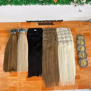 Extensions de cheveux à clipser - Cheveux humains bruts - Cheveux vierges Remy - Très épais - Lisses et soyeux - 115g par clip - Origine Vietnam - Product Image 1