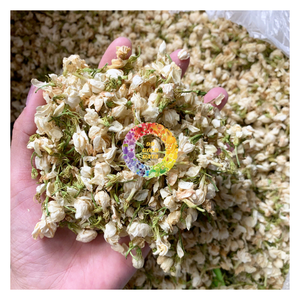 Fournisseur d'usine : Bourgeons de jasmin séchés en vrac, naturels et parfumés, pour thé et décoration - Product Image 1