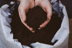 Poudre de vermicompost organique Bhumi Gold 100% pure, engrais organique à libération rapide pour les plantes dans l'Uttar Pradesh - Product Image 4