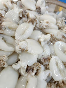 Calamar Bebé Congelado Tender Ocean Bite para Importadores de Mariscos y Cocina Asiática - Product Image 6