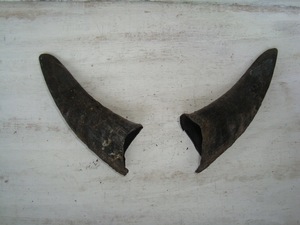 Paires de cornes de chèvre naturelles, finition rustique, écologiques, neuves, de haute qualité pour la décoration et l'artisanat - Product Image 5