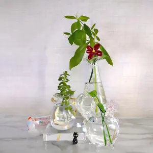 Beste Kwaliteit Handgemaakte Planten Creative Geblazen Glas Hydrocultuur Kleur Decoratie Vaas