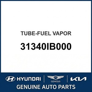 Nouveaux réservoirs de carburant et becs de remplissage Elantra 31340IB000 - Product Image 1