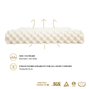 Almohada de Látex Moderna para Hotel, Almohada Contorneada, Sólida, Refrescante, Cómoda, Hipoalergénica, Soporte para el Cuello, para Dormir de Lado, Ergonómica - Product Image 3