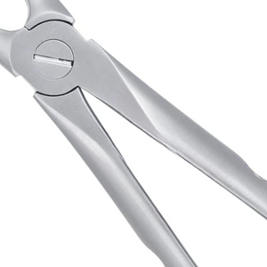 Pinzas de Extracción Atraumática para Incisivos Superiores Apicales, de Acero Inoxidable, Instrumento Quirúrgico Dental para Extracción de Dientes, Cirugía Oral - Product Image 5