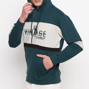 Sweat-shirts d'hiver pour hommes 100 % coton avec logo personnalisé, sweats à capuche pull-over, vente en gros OEM, conception sur mesure - Product Image 3
