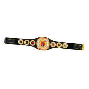 Ceinture de championnat de lutte de haute qualité, personnalisable, pour la rétention de l'excellence, pour les fans et les collectionneurs - Product Image 1