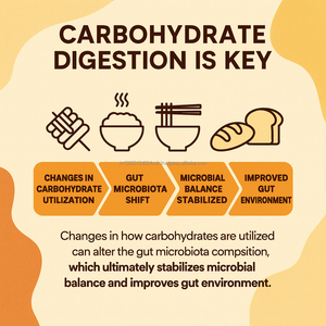 Polvo de enzima fermentada con ingrediente funcional Tipo barra de grano Kamut OEM - Product Image 3
