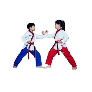 Tenue d'entraînement quotidienne respirante tendance, séchage rapide, mobilité améliorée, kit de vêtements pour enfants, uniforme de judo et de karaté - Product Image 1