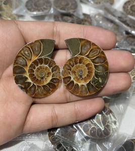 Pierre précieuse naturelle en vrac, forme mixte, cabochon, en ammonite fossile, pour la fabrication de bijoux, spirale marron unique, pierre polie - Product Image 5