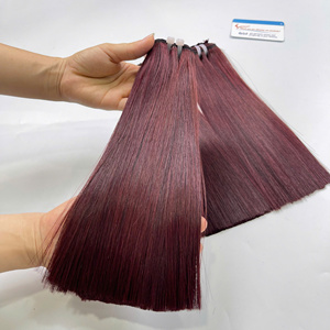 Machine d'extension de cheveux humains Remy vietnamienne de haute qualité Double trame 100% cheveux colorés droits vierges - Product Image 5