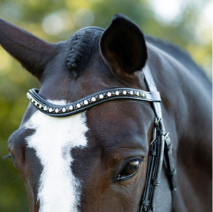 Brida de Cuero para Caballo Hecha a Mano de Primera Calidad al por Mayor con Riendas, Duradera, Cómoda y Transpirable, Equipo Ecuestre para Entrenamiento de Equitación - Product Image 5