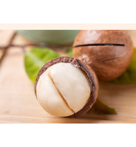 Nueces de Macadamia Premium, Venta de Fábrica, al por Mayor, Crudas, Enteras, Envasadas al Vacío, Frescas - Product Image 1