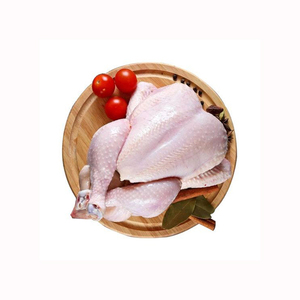 ไก่แช่แข็งฮาลาลคุณภาพสูง / อกไก่และตีนไก่สำหรับขาย - Product Image 5