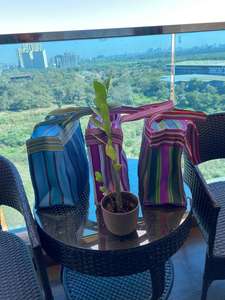 Sacs de plage et de cosmétiques personnalisés en nylon recyclé tissé à la main, écologiques, imperméables, à poignée souple, et sacs de courses rayés tissés à la mode - Product Image 3