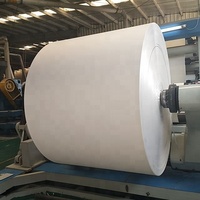 Direkt vom Hersteller Polybeschichtete Kraftpapierrolle 180-320gsm für Kaffeebecher Lebensmittelechtes Basispapier SGS-Zertifiziert