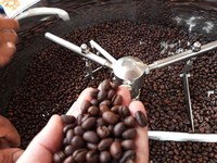 Café Robusta torréfié moulu de spécialité USDA, qualité AA+, certifié ISO 22000, marque TNFOOD, export en gros du Vietnam Gia Lai, 100%