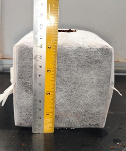 Cocopeat 1kg Bloc - Conditionneur de sol biodégradable pour la culture en pot, l'hydroponie et l'utilisation en jardin - Product Image 5