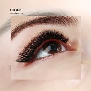 Plateaux de cils en gros Charmlash, extensions de cils en cachemire, courbure LC, cils droits, plateau mixte de correction, structure de base 2mm - Product Image 4