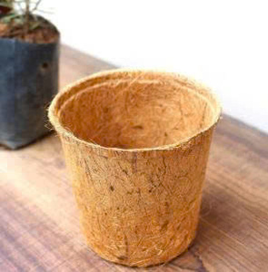 Pot de semis en fibre de coco biodégradable, écologique, pour pépinière - Product Image 6