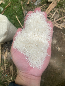 Arroz Jazmín 5% de Grano Partido, Ideal para Comunidades Asiáticas en Todo el Mundo, Lo Mejor para las Comunidades Asiáticas, Por Jacob - Product Image 2