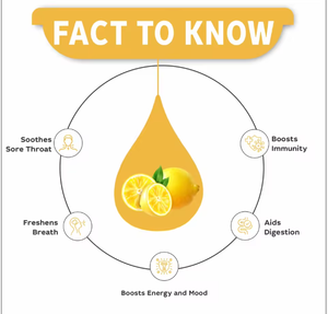 10ml <b>Dropper</b> <b>Bottles</b> | LEMON EXTRACT DROPS | Citrus limon | Vitamin C boost, immunity, detoxification - Product Image 3
