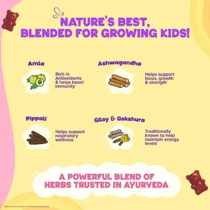 Extracto Herbal Dabur Chyawanshakti, Gomitas de Mango Silvestre, Grado Alimenticio 99% - Product Image 3