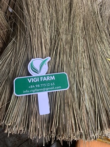 Palos de coco de alta calidad, palos de hoja de coco natural crudo para limpieza, palos Ekel para producción de escobas, precio de proveedor al por mayor - Product Image 6