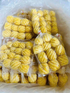 สับปะรดเวียดนามแช่แข็งแบบหั่นชิ้น สำหรับทำน้ำผลไม้ สมูทตี้ ของหวาน บริการจัดเลี้ยง และการแปรรูปอาหารเชิงพาณิชย์ - Product Image 6