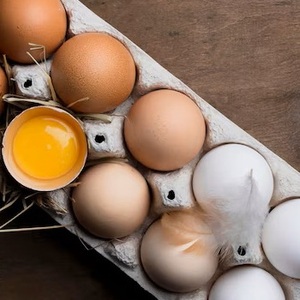 Huevos de gallina con cáscara marrón al por mayor - Product Image 1