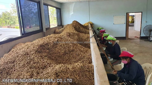 MOQ 25kg High Quality Grade Turmeric <b>extract</b> powder 80% Curcuminoid Wild Cultivated Drum Packaging KMP Herbal <b>Extract</b> Thailand - Product Image 6