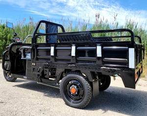 High Quality Gasoline <b>Tricycle</b> Truck Cargo Transportation Water-Cooled Engine Gasoline Motor <b>Tricycle</b> - Product Image 3