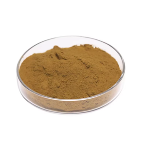 Premium Quality Kigelia Fruit Powder 100% Pure & Natural Kigelia Africana Powder for Support Skin Care & Firming at <b>Best</b> Price - Product Image 2