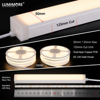 Bande LED néon flexible en cuivre à haute luminosité, grande taille 50x25, plate, étanche, pour aménagement paysager, 24V DC