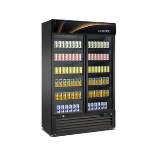 Congelador Vertical Comercial con Puerta de Vidrio, de Doble Puerta y Congelador Superior, para Heladerías y Tiendas de Bebidas - Product Image 3