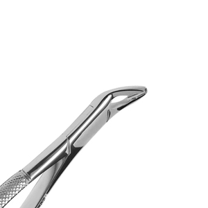 Forceps d'extraction dentaire professionnels, instrument de retrait de dents, approvisionnement direct usine, quantité en gros, acier inoxydable - Product Image 2
