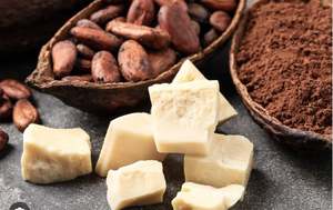 Fabricante de Manteca de Cacao Orgánica al por Mayor, Loción Pura de Manteca de Karité y Mango, Hidratante Terra Bio Tamil Nadu para la Piel de Mujeres - Product Image 2